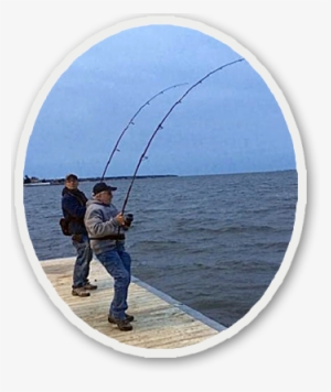 Love That May Fishing - Cast A Fishing Line