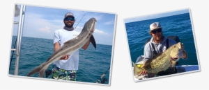 Previousnext - Florida