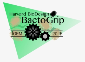 Harvard Logo - Web Design