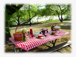 Picnic Picture - Picnic Table With Food