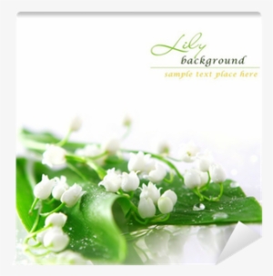 Lily Of The Valley Wallpaper Iphone