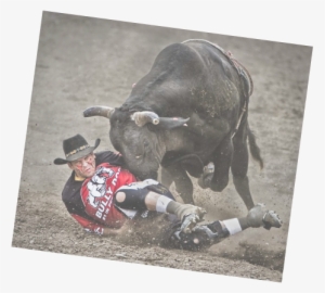 Protect Cowboys From Bulls And Entertain Rodeo Audiences - Rodeo Clown Flint Rasmussen