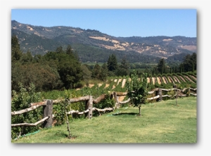 The French Bistro Mysteries' World - Castello Di Amorosa