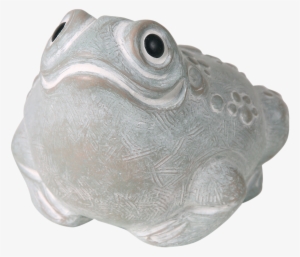 Toad - Isabel Bloom