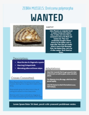 Baked Alaska