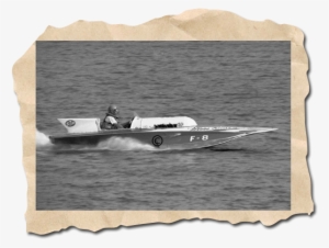 November Wanted Poster, Miss Kathleen F-8 - Tiger