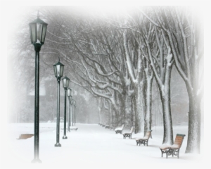 Beauty Will Save - Tak Ada Yang Abadi