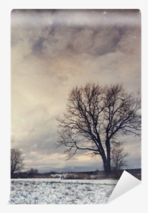 Lonely Tree In A Field Of Snow In December Wall Mural - Mural