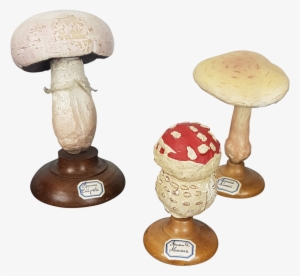 Three Fungi Sculptures - Shiitake