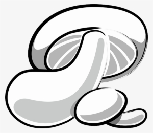 Mushroom, Fungi, Fungus, White - Png Jamur