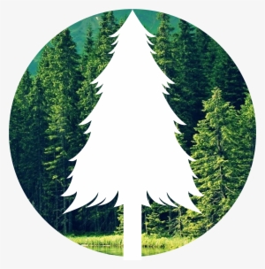 The Forest Png - Save Forest Png