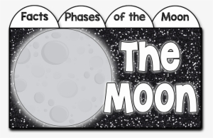 Moon Phases - Circle