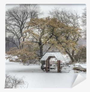 Central Park, New York City During Snow Storm Wall - Neve Em Central Park Em Nova York