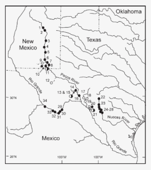 Texas Map Drawing At Getdrawings - Texas