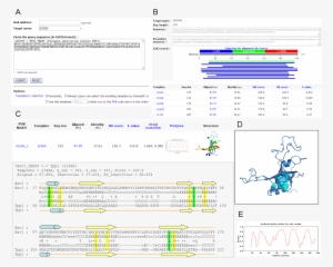 Overview Of The 2 Server Using The Protein Sequence - Protein Structure Prediction
