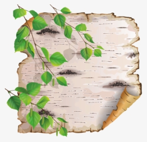 Ch - B *✿* - Береста Клипарт