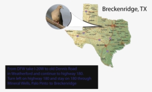Home » Homepage 1 » Texas Dove Map - Map Of Texas Cities