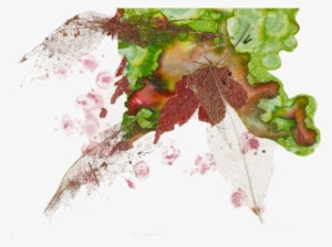 The Selections Within This Gallery Resulted From A - Artist