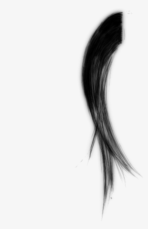 Brush In Freebrushes - Sketch