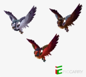 Buy Druid Flight Forms Mount Boost - Red-tailed Hawk