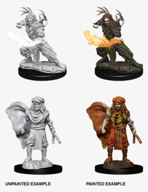 D&d Nolzurs Marvelous Miniatures Male Human Druid (sept)