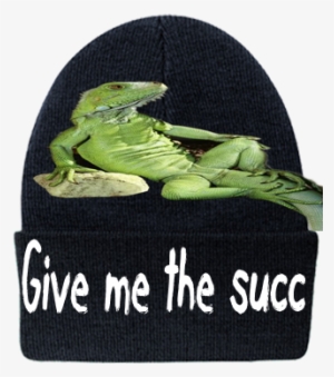 Give Me The Succ - Carolina Anole