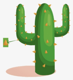 Thorn - 0shares - Acanthocereus Tetragonus