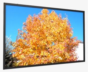 Screenint Leinwand Flatmax Format 16:10 Fixed Screen