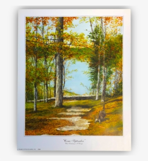 Picture Frame