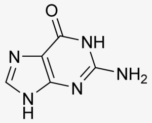 Guanine Chemical Structure - 1 Amino 1 2 3 Triazole