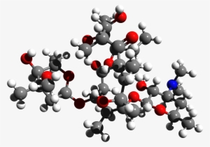 Erythromycin 3d Structure - Erythromycin Molecular Structure 3d