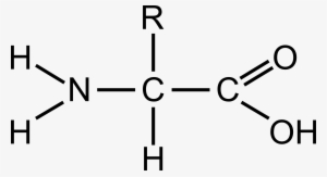 This Free Icons Png Design Of Amino Acid