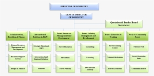 Organisational Structure