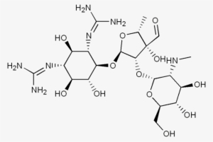 320 × 215 Pixels - Streptomycin Structure