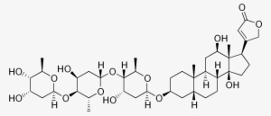 Lets - Methyldigoxin