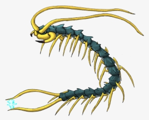 Drawing Insects Centipede Svg Download - Giant Centipede Transparent
