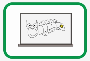 Centipede
