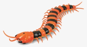 Electric Rc Centipede Fake Remote Control Animal Prank