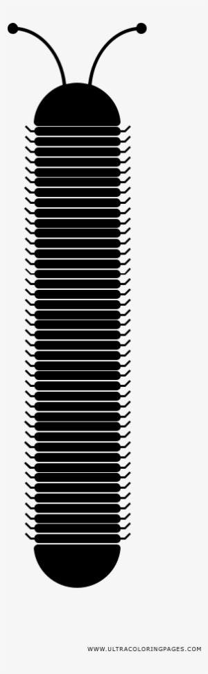 Centipede Coloring Page - Drawing