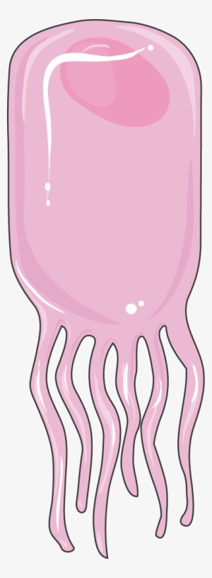 Download The Image - Ependymal Cell Cartoon