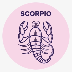 “confident, Stunning & Illuminating” - Circle