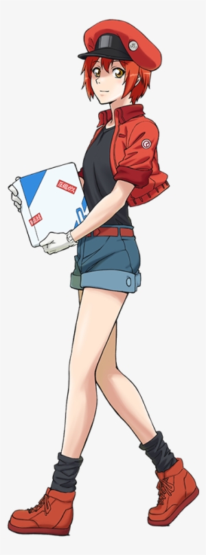 Ae3803 - Red Blood Cell Anime