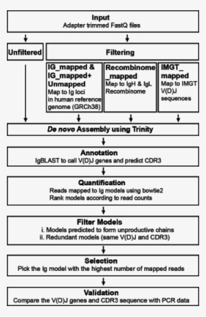 Ongoing Research Is Deploying Single Cell Rna Seq And - Immune System