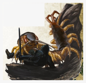 From The Barracks, The Party Went On To Explore A Cellblock, - Pathfinder Giant Centipede