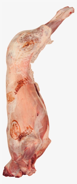 Buy Whole Pyrenees Lamb Online In London Uk