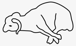 Open - Sacrificial Lamb Black And White