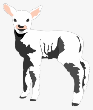 Lamb In Shadow Svg Clip Arts 504 X 596 Px
