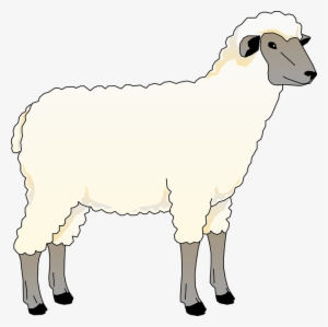Collection Of Free Heep Animal Download On - Cartoon Sheep Animal Farm