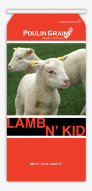 Lamb N' Kids Starter Pellet - Cria