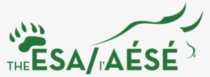 Cropped Esa Bb Logo 2